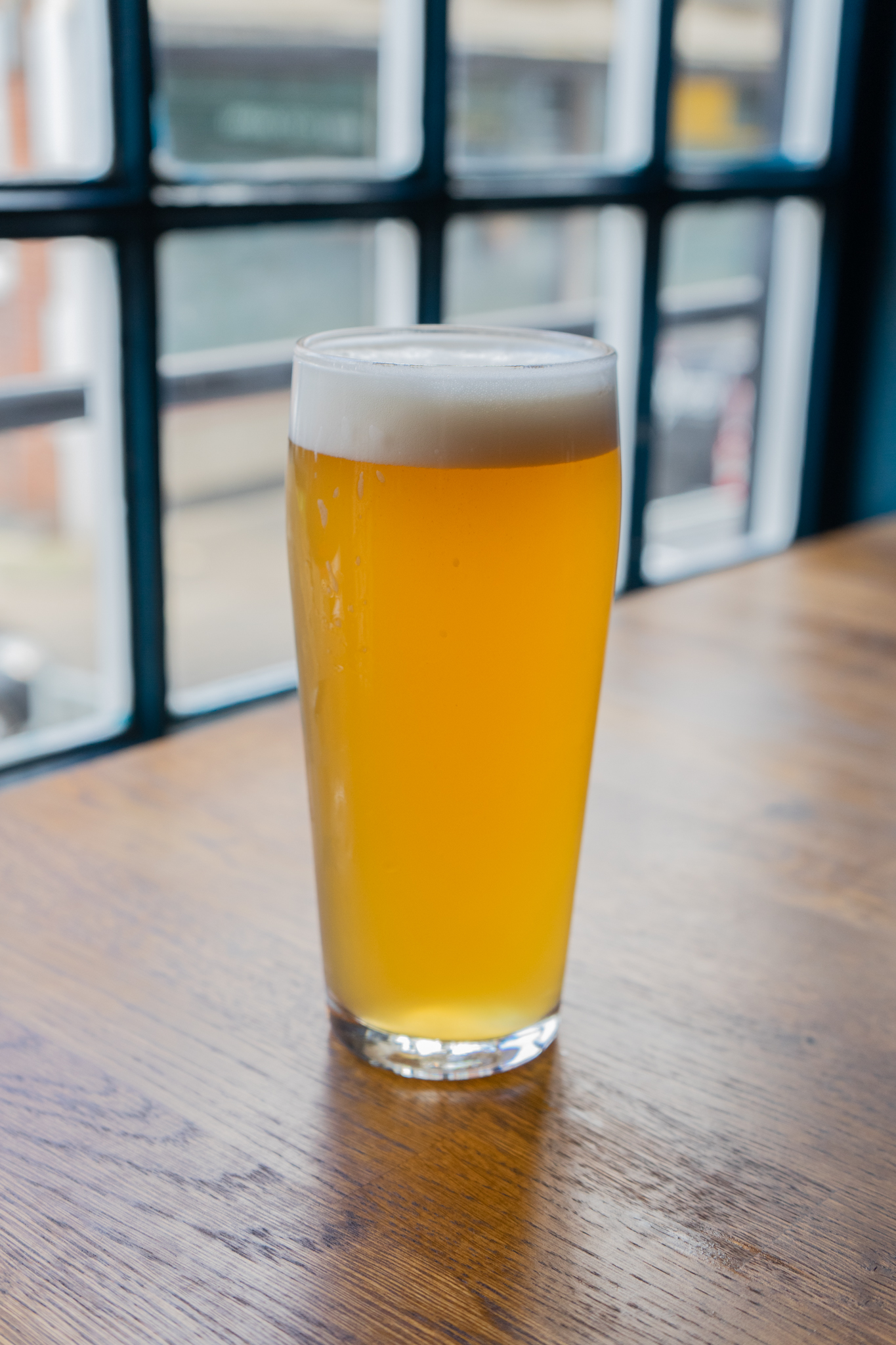 beck 2-77 Other Monkey Brewing beer close up